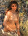 desnudo bajo la luz del sol Pierre Auguste Renoir